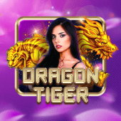Dragon Tiger plus22 VIP game